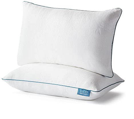 LUCID Premium Shredded Memory Foam Pillow-Hypoallergenic-Adjustable Loft-2 Pack-Queen