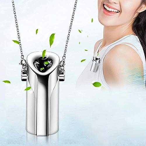 PULUZ Portable Wearable Necklace Air Purifier, Home Mini Air Lonizers, Hang Neck Personal USB Charging Air Purifier, Personal Air Freshener (Sliver)