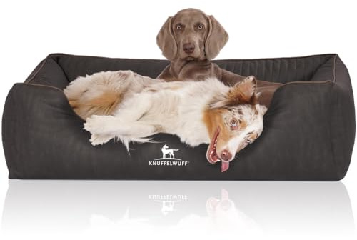 Knuffelwuff Orthopädisches Hundebett Tampa aus laser-gestepptem Kunstleder XL 105 x 75cm Schwarz