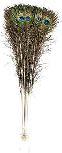 Creny Lot de 20 plumes de paon 80 à 90 cm pour décoration de maison, mariage, fête, bricolage