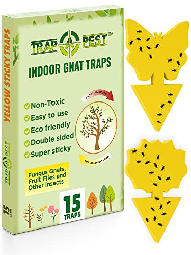 Gnat Traps for House Plants Indoor and Outdoor - Yellow Sticky Traps for Flying Insects- Trap Fungus Gnat, Fruit Fly and Other Pesky Insects (15 pcs)
