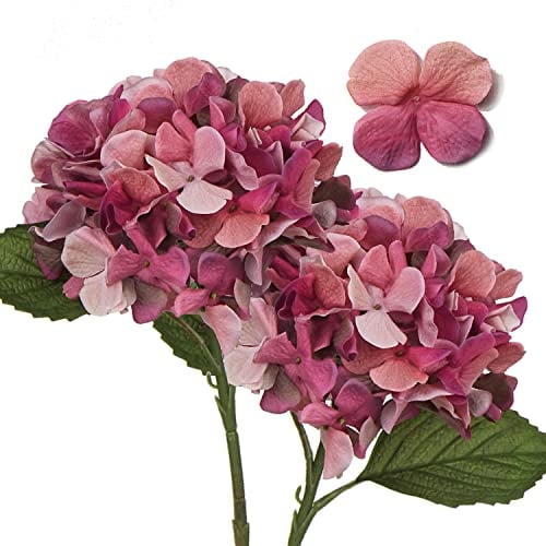 2 Piezas de hortensias Artificiales, Flores Artificiales con Tallos de impresión Digital Falsa Flor Seca para decoración del hogar para Cocina para Sala de Estar, Oficina, Planta Rosa