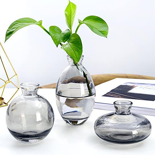 Hniuyun 3Pcs/Set Glass Vase, Small Mini Flowers Bud Vases, Transparent Hydroponic Vase Minimalist Aesthetic Home Decor (Gray)