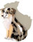 Nordstral Haarklammer Hund Australian Shepherd - Haarklammer in 8 x 5 cm, Haarspangen Damen und Haarspangen Mädchen