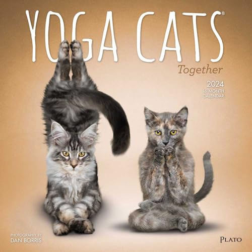 Browntrout, Wandkalender 2024 Yoga Cats Together