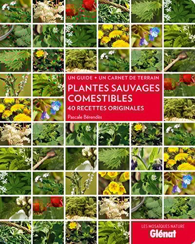 Plantes sauvages comestibles: 40 recettes originales