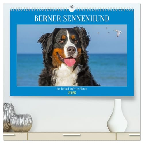 Berner Sennenhund - Ein Freund auf vier Pfoten (hochwertiger Premium Wandkalender 2026 DIN A2 quer), Kunstdruck in Hochglanz: Er ist traumhaft schön, ... Bilder dieser Traumhunde. (CALVENDO Tiere)