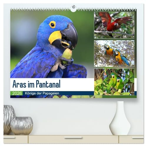 Aras im Pantanal (hochwertiger Premium Wandkalender 2026 DIN A2 quer), Kunstdruck in Hochglanz: Aras in ihrem natürlichen Lebensraum (CALVENDO Tiere)