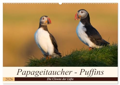 Papageitaucher - Puffins (Wandkalender 2026 DIN A2 quer), CALVENDO Monatskalender: Papageitaucher aus Island (CALVENDO Tiere)
