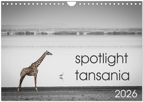 spotlight tansania (Wandkalender 2026 DIN A4 quer), CALVENDO Monatskalender: Die Essenz Ostafrikas (CALVENDO Tiere)
