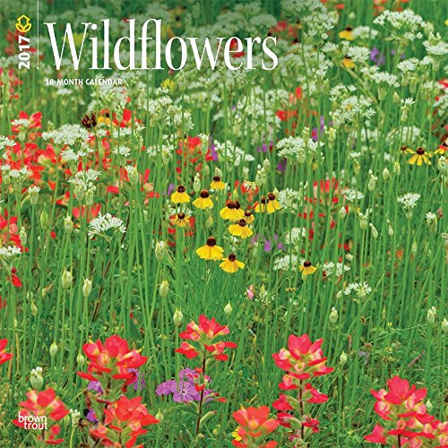 Wildflowers 2017 Calendar