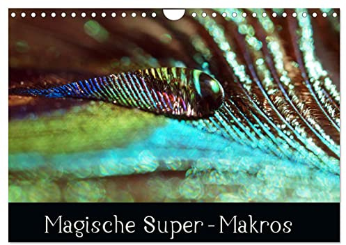 Magische Super-Makros (Wandkalender 2026 DIN A4 quer), CALVENDO Monatskalender: Überraschendes Spiel der Farben und Formen (CALVENDO Natur)