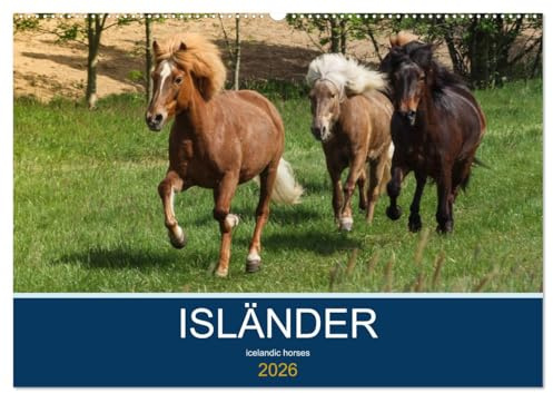 Isländer - icelandic horses (Wandkalender 2026 DIN A2 quer), CALVENDO Monatskalender: Mit den Wikingerpferden durch das Jahr (CALVENDO Tiere)