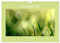 Lichtblicke im Gras (Wandkalender 2023 DIN A4 quer): Die Natur ist eine Künstlerin. (Monatskalender, 14 Seiten ) (CALVENDO Natur)