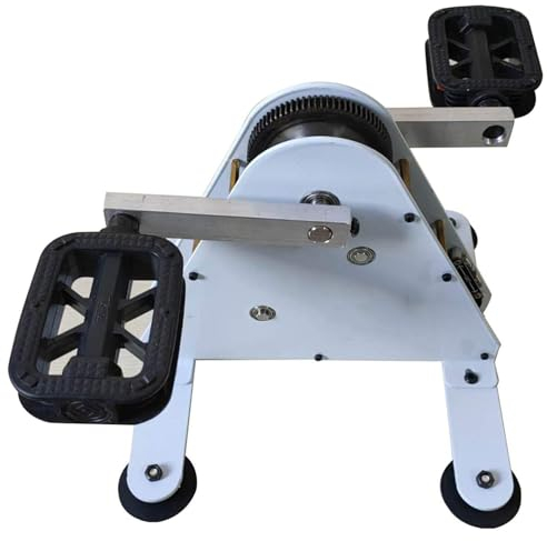 Generatore di corrente a pedale, generatori a manovella Generatore di corrente a pedale da 50W/100W,con interfaccia USB/uscita DC1-35V,caricatore per generatore di bicicletta da trasporto,100W
