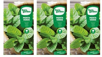 Semillas de Menta Verde, Planta culinaria aromática, (Pack 3 sobres x 0,1 gr). 0,3 GR