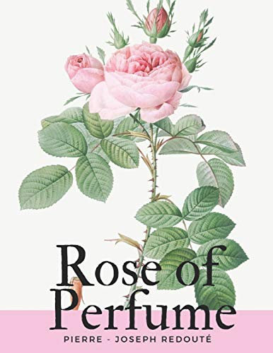 Rose of Perfume (Lese Roses, Band 5)