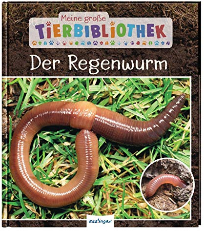 Meine große Tierbibliothek: Der Regenwurm: Sachbuch für Vorschule & Grundschule
