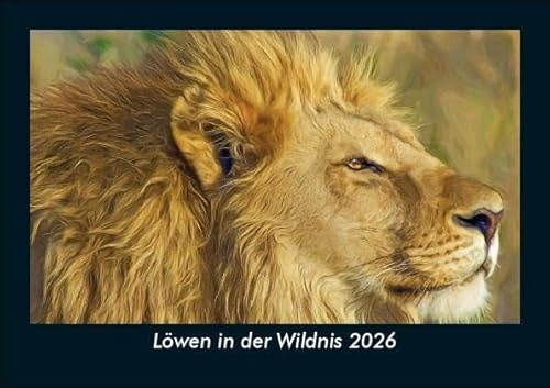 Löwen in der Wildnis 2026 Fotokalender DIN A5: Monatskalender mit Bild-Motiven aus Religion, Kirche, Ruhe und Heiligtum