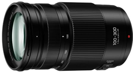 Panasonic LUMIX G II Vario Lente, 100-300 mm, micro cuatro tercios sin espejo, Power O.I.S, H-FSA100300 (USA Negro) (reacondicionado certificado)