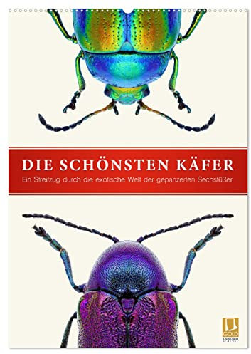Die schönsten Käfer (Wandkalender 2025 DIN A2 hoch), CALVENDO Monatskalender: Ein Streifzug durch die exotische Welt der gepanzerten Sechsfüßer (CALVENDO Tiere)