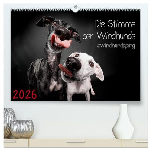 Die Stimme der Windhunde (hochwertiger Premium Wandkalender 2026 DIN A2 quer), Kunstdruck in Hochglanz: Jeden Monat eine lustige Langnase (CALVENDO Tiere)