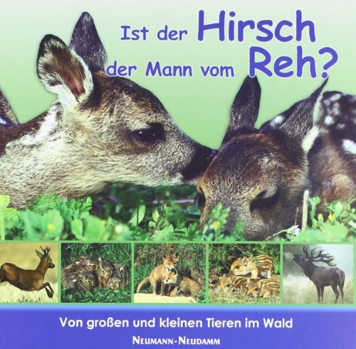 Ist der Hirsch der Mann vom Reh?: Von grossen und kleinen Tieren im Wald