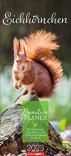 Eichhörnchen Familienplaner 2023. Großer Foto-Terminkalender mit 5 Spalten und einer Ferienübersicht. Schöner Familien-Wandkalender 2023 mit Eichhörnchen-Fotografien.