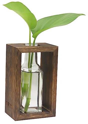 OFFIDIX Stations de propagation de plantes, terrarium de bureau en verre avec support en bois, pot de fleurs en verre avec 1 pot pour plantes hydroponiques, bureau, décoration de la maison