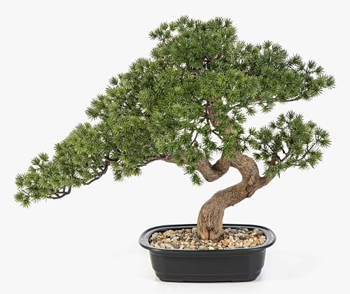 artplants.de Künstlicher Bonsai Kanya in Pflanzschale, 45cm - Kunst Pinie