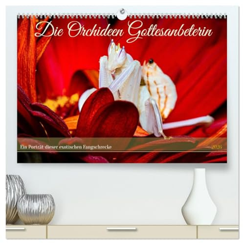 Die Orchideen Gottesanbeterin (hochwertiger Premium Wandkalender 2026 DIN A2 quer), Kunstdruck in Hochglanz: Die faszinierende Welt der Orchideen Gottesanbeterin (CALVENDO Tiere)