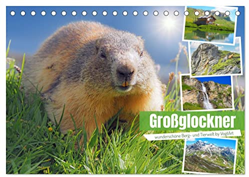 Großglockner wunderschöne Berg- und Tierwelt (Tischkalender 2026 DIN A5 quer), CALVENDO Monatskalender: Hochalpenstraße Großglockner mit Blick auf ... losfahren und erleben! (CALVENDO Natur)
