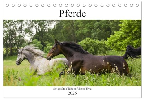 Pferde, das größte Glück auf dieser Erde (Tischkalender 2026 DIN A5 quer), CALVENDO Monatskalender: Nicht ohne Grund heißt es, Pferde machen glücklich (CALVENDO Tiere)