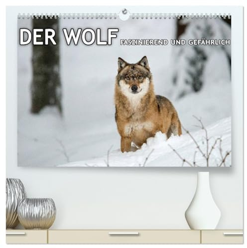 DER WOLF - faszinierend und gefährlich (hochwertiger Premium Wandkalender 2026 DIN A2 quer), Kunstdruck in Hochglanz: Faszinierende Aufnahmen von Wölfen. (CALVENDO Tiere)