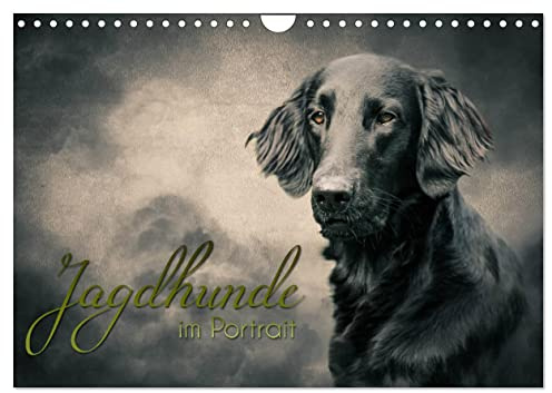Jagdhunde im Portrait (Wandkalender 2026 DIN A4 quer), CALVENDO Monatskalender (CALVENDO Tiere)