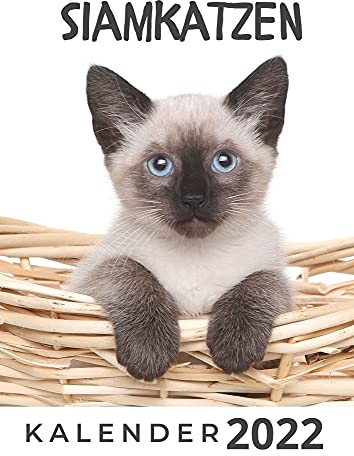 Siamkatzen: Kalender 2022