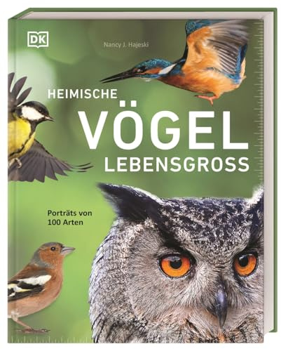 Heimische Vögel lebensgroß: Porträts von 100 Arten. Umfassendes Vogel-Buch mit faszinierenden Fotos von Vögeln in Originalgröße