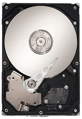 Seagate Barracuda ES.2 Server, 500 GB 8,9 cm (3,5) HDD S-ATA 300/150 Mbit/s 32MB Cache (Ricondizionato)