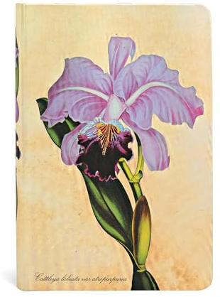 Hardcover Journals, Brazilian Orchid, Unlined (Painted Botanicals)