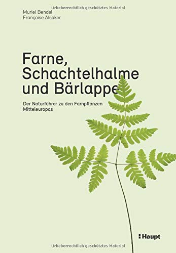 Farne, Schachtelhalme und Bärlappe: Der Naturführer zu den Farnpflanzen Mitteleuropas