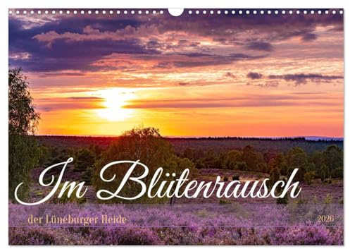 Im Blütenrausch der Lüneburger Heide (Wandkalender 2026 DIN A3 quer), CALVENDO Monatskalender: Die Hauptblüte ist Mitte August. (CALVENDO Natur)