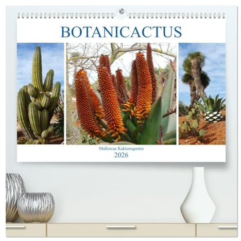 BOTANICACTUS Mallorcas Kakteengarten (hochwertiger Premium Wandkalender 2026 DIN A2 quer), Kunstdruck in Hochglanz: Ein Januar-Spaziergang durch den mallorquinischen Kakteengarten (CALVENDO Natur)