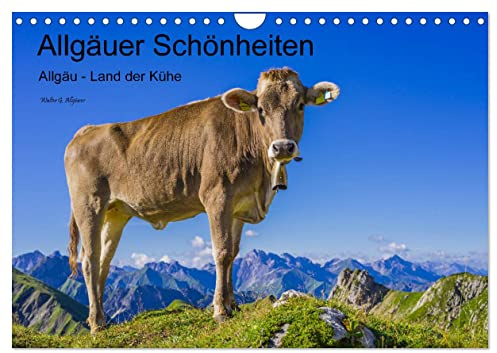Allgäuer Schönheiten Allgäu - Land der Kühe (Wandkalender 2026 DIN A4 quer), CALVENDO Monatskalender: Kühe - die Stars und Schönheiten des Allgäus (CALVENDO Natur)