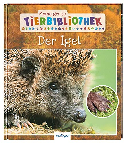 Meine große Tierbibliothek: Der Igel: Sachbuch für Vorschule & Grundschule