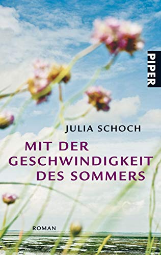 Mit der Geschwindigkeit des Sommers: Roman