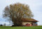 HANSEPUZZLE 11454 - Baum-Haus Puzzle 260 Teile | Gebäude Puzzle mit hochwertiger Puzzle Aufbewahrung: Kartonbox und wiederverschließbarem Beutel | Puzzle-Maße: 41 x 28,7 cm