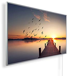 Infrarotheizung mit Bild – Bildmotiv – TÜV SÜD - 600 Watt Bildheizung - Weißer Rahmen (02. Steg Vögel)