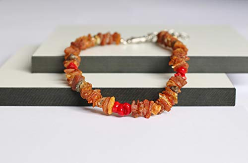 amber-us Bernsteinkette für Hunde aus Roh Baltischer Bernstein mit Rote Koralle verziert | Zeckenhalsband | Bernstein Gegen Zecken | Zecken und Flohschutz Halsband (25-30 cm)