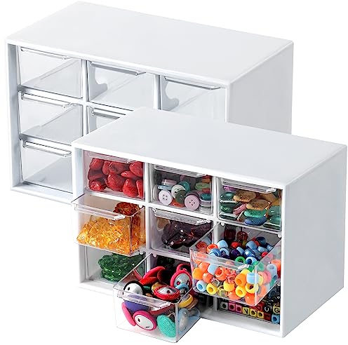 Winter Shore Mini Cassettiera Portaoggetti con 9 Cassetti - Porta Minuteria Plastica Bianca Trasparente Da Scrivania per Cucito, Lavori Creativi e Accessori
