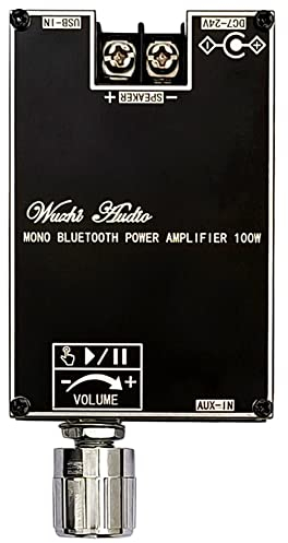 TRITAM Placa de Amplificador de Audio Bluetooth Mono de 100 W con FuncióN TWS Box TPA3116D2 BT5.1 MóDulo de Audio EstéReo DC7-24V -1001B